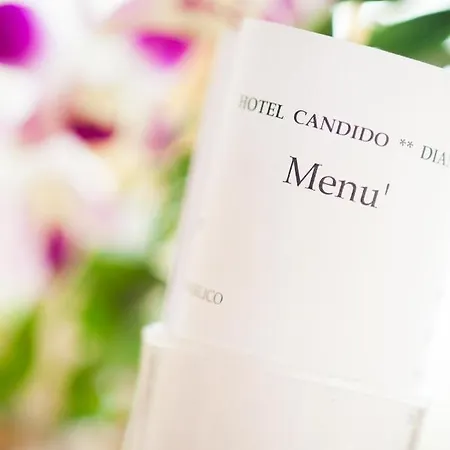 Candido Hotel Diano Marina